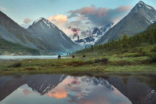 Гора Белуха горный Алтай в хорошем качестве