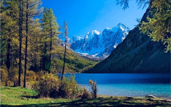 Озеро ситр Алтай