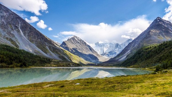 Белуха горный Алтай