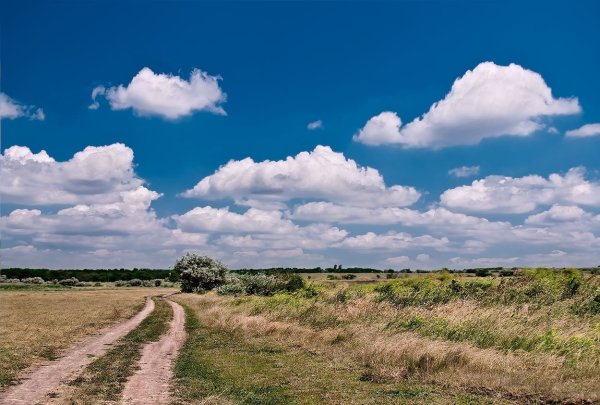 Поля Саратовской области