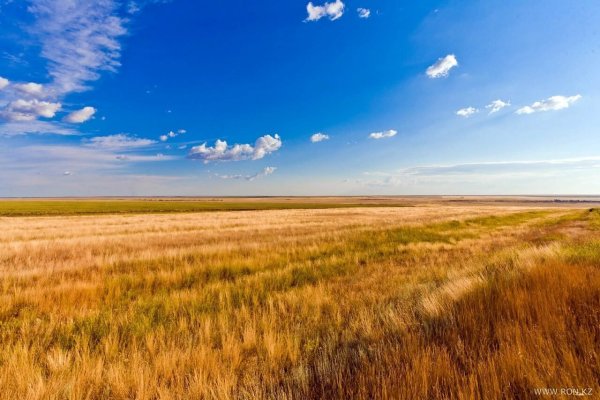 Уральск степь