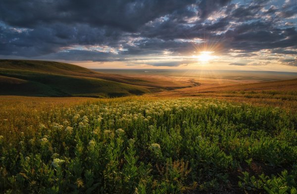 Моюнкумская степь
