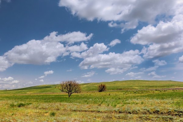 Караногайские степи