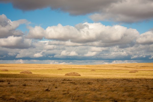 Степь Оренбургской области осенью