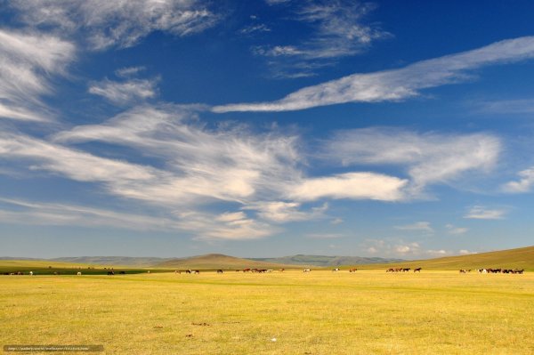 Казахстан Степная равнина