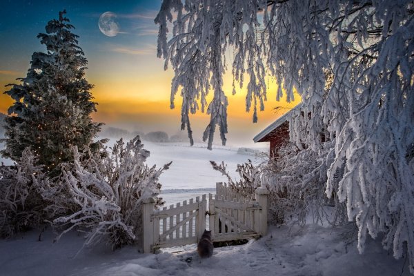 Сказочная зимняя природа