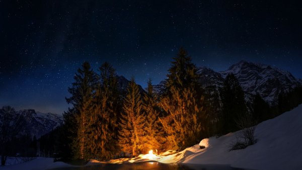 Зимний лес ночью