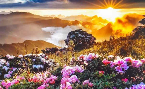 Прекрасный мир природы