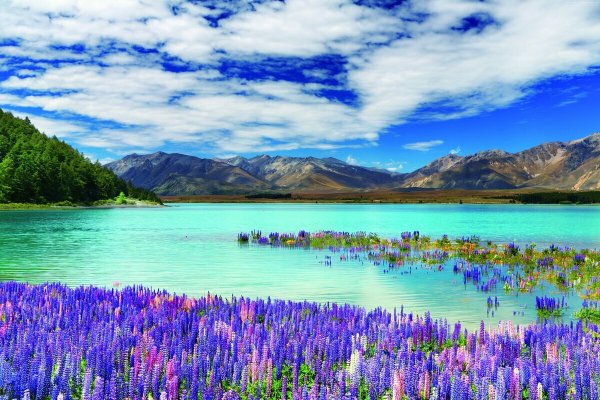 Lake Tekapo, новая Зеландия