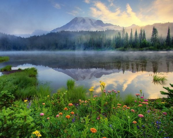 Прекрасный мир природы