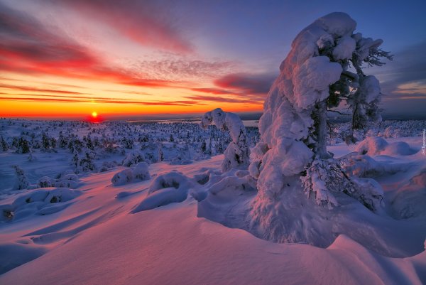 Красивая зима