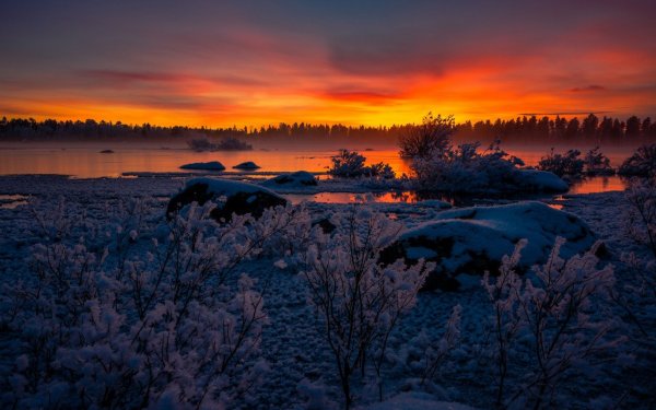 Красивая зима