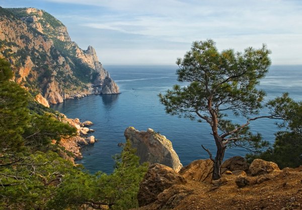 Феодосия Царский пляж