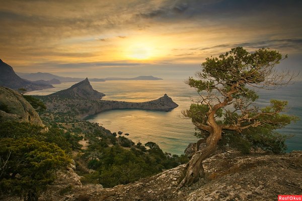 Новый свет Крым осень