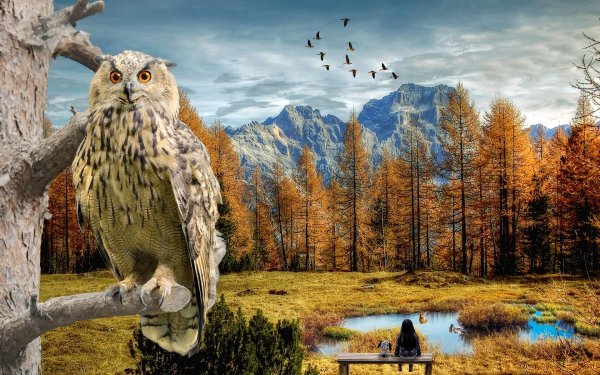 Пейзаж с филинами