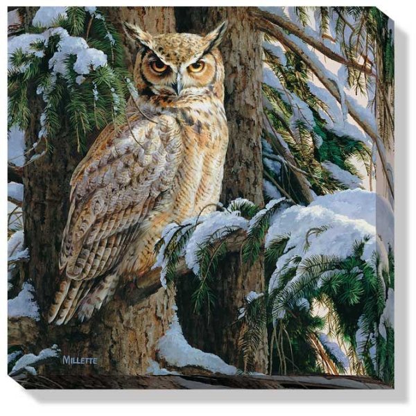 Dimensions по номерам виргинский Филин