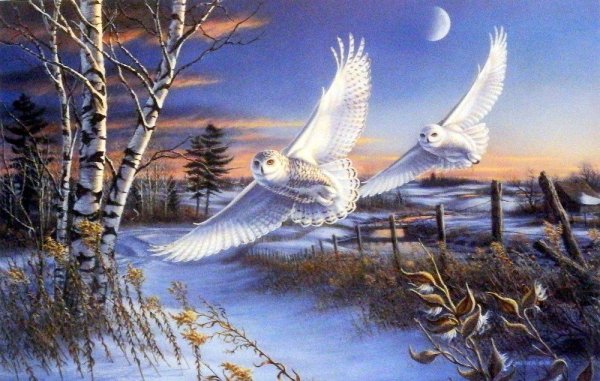 Джеймс мегер картины