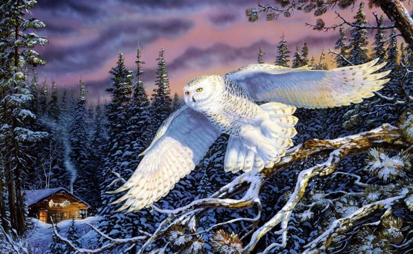 Художник-анималист Терри Даути (Terry Doughty).