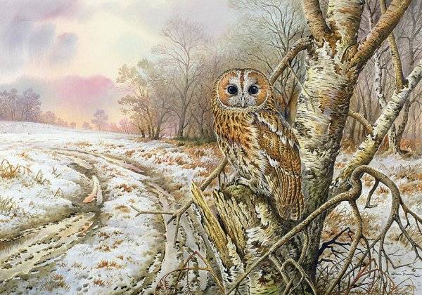 Филин в живописи Алексея Рычкова