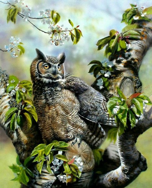 Сова живопись