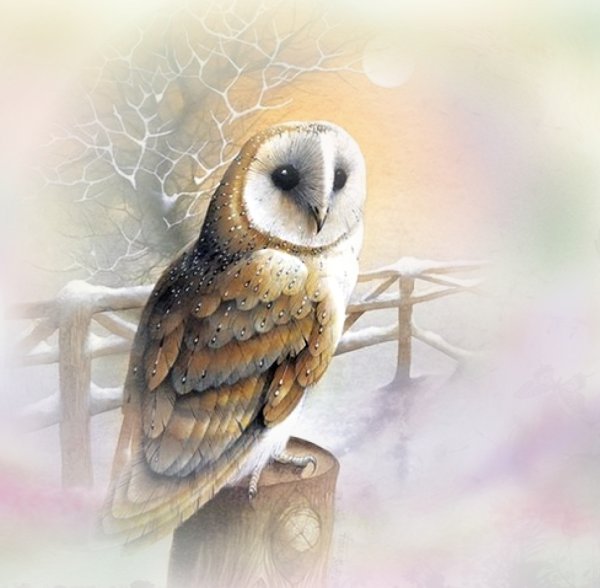 Художник David Finney