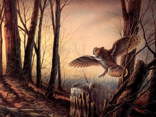 Terry Redlin животные