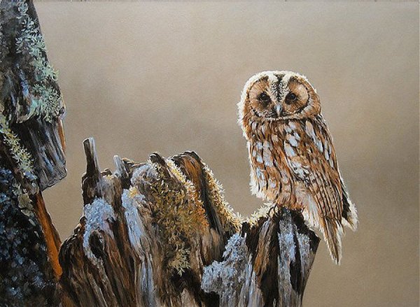 Роберт Бейтман Сова Эльф