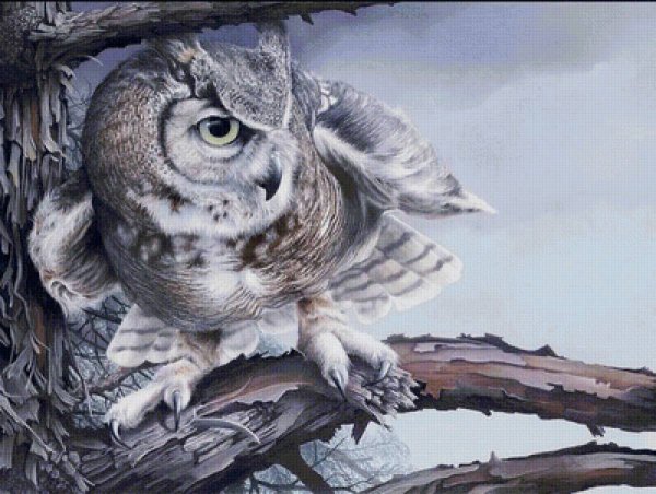 Пейзаж с совой