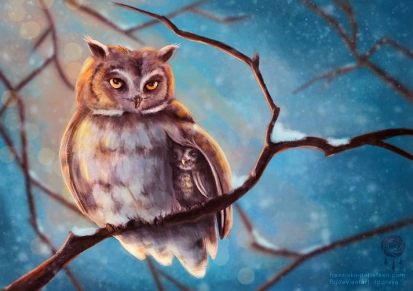 Сова сидит на ветке