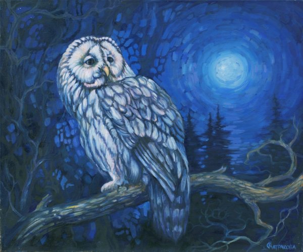 Сова в ночном лесу