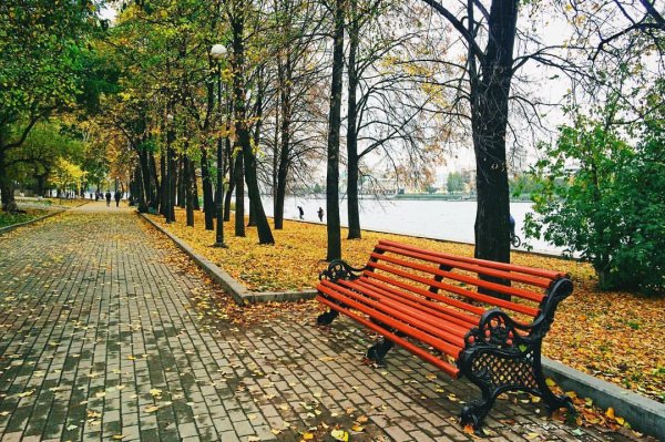 Екатеринбургплотика осень