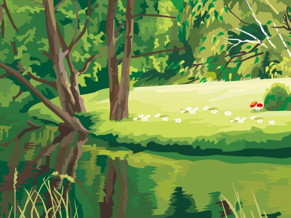 Рисунки природы