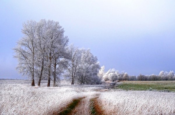 Осенний пейзаж