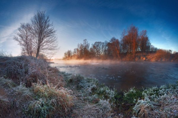 Осенние деревья в снегу