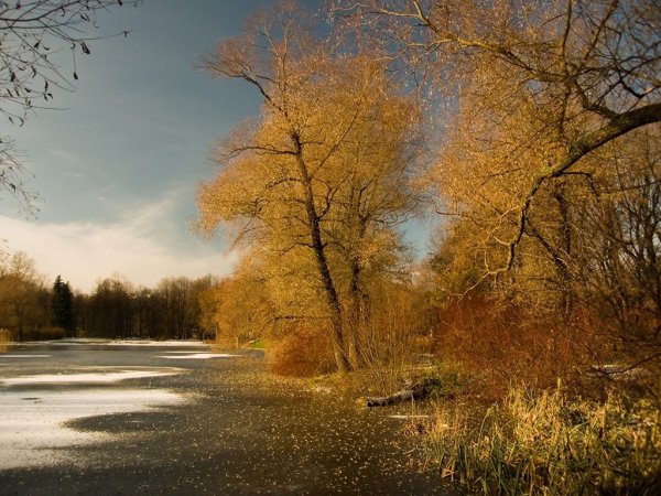 Морозное осеннее утро