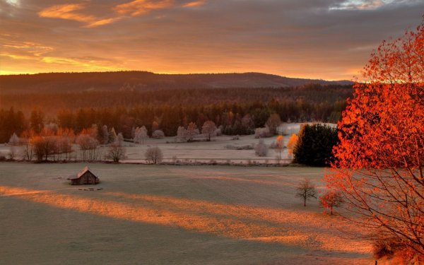 Ноябрьский пейзаж