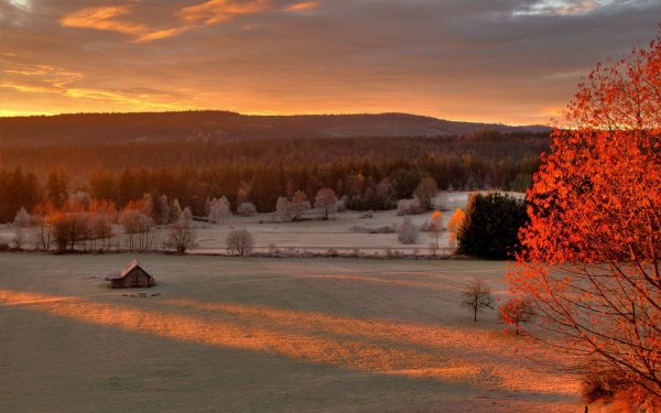 Зима солнце