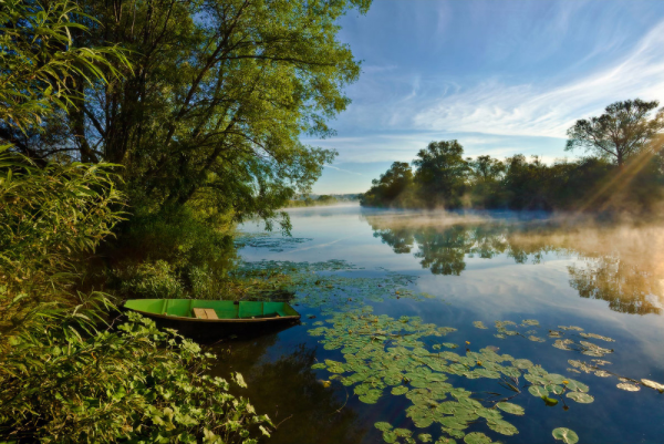 Река в лесу