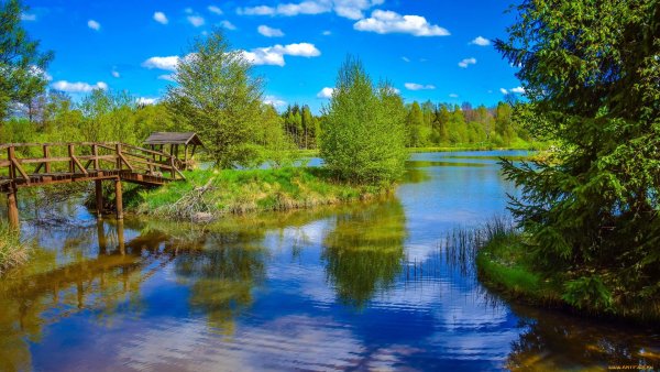 Пейзаж с рекой на закате