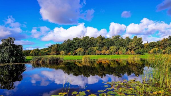 Пейзаж с речкой