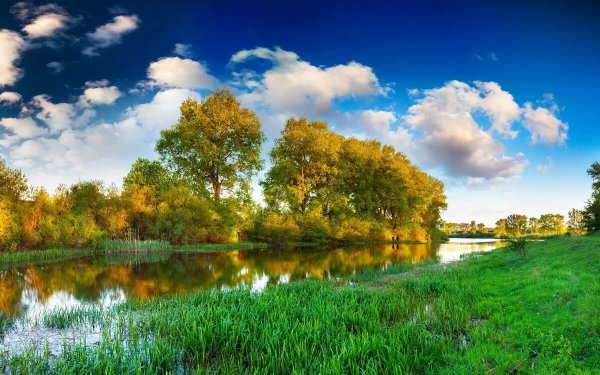 Тихая природа