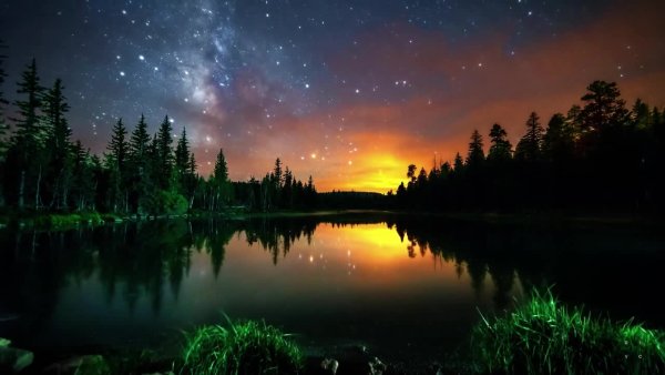 Ночная природа