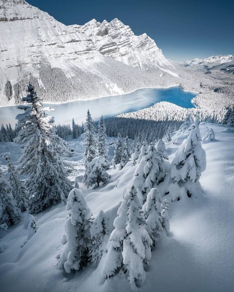 Зимняя природа