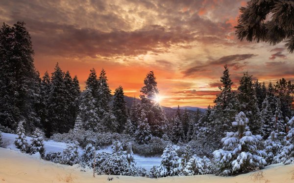 Зимняя красота