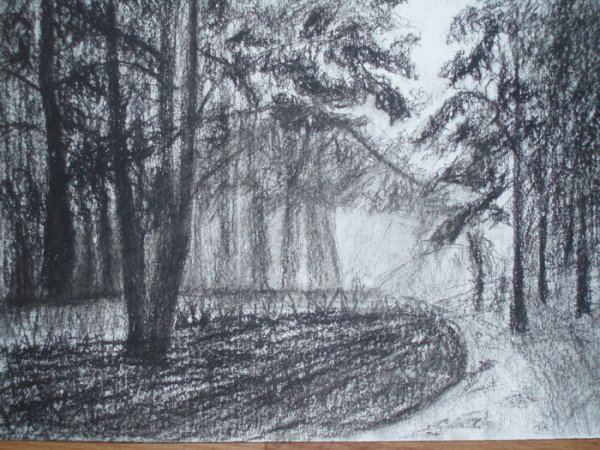 Пейзаж углем для детей