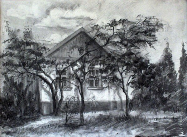 Графика углем пейзаж