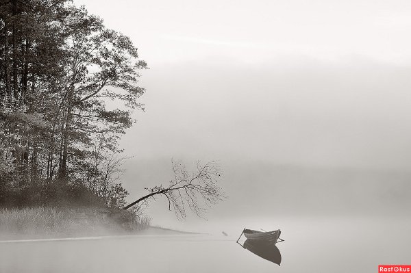 Печальный пейзаж