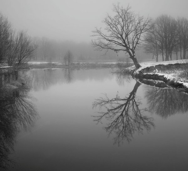Печальный пейзаж