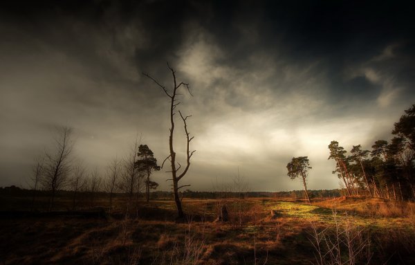 Пасмурная осень