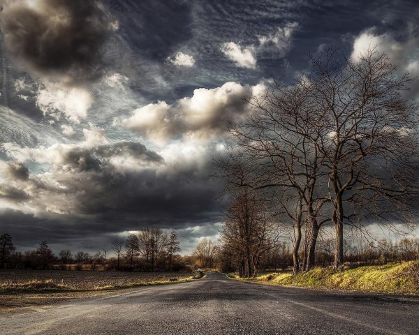 Мрачный пейзаж